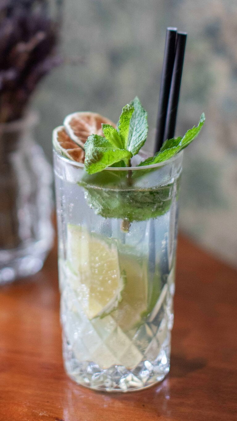 elderflower nojito
