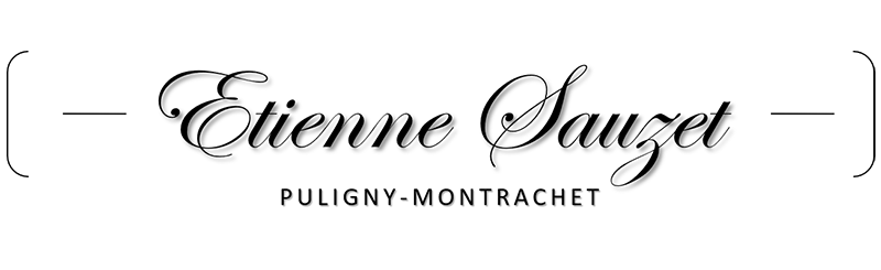 Etienne Sauzet Logo