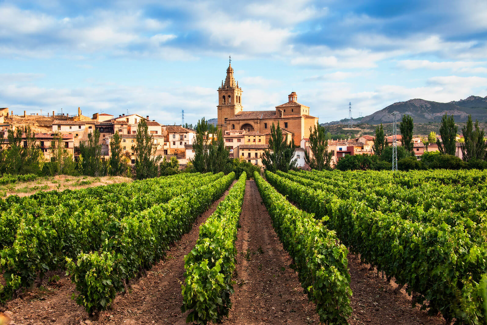 Spain wines