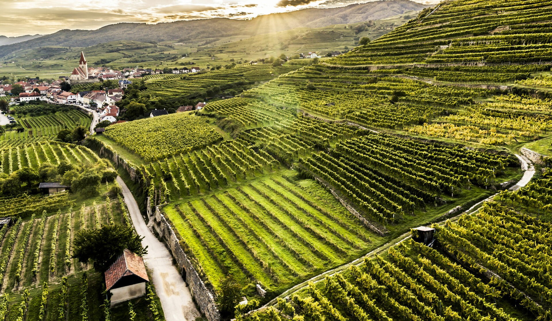 Austria Winery Wachau - Penventon Hotel