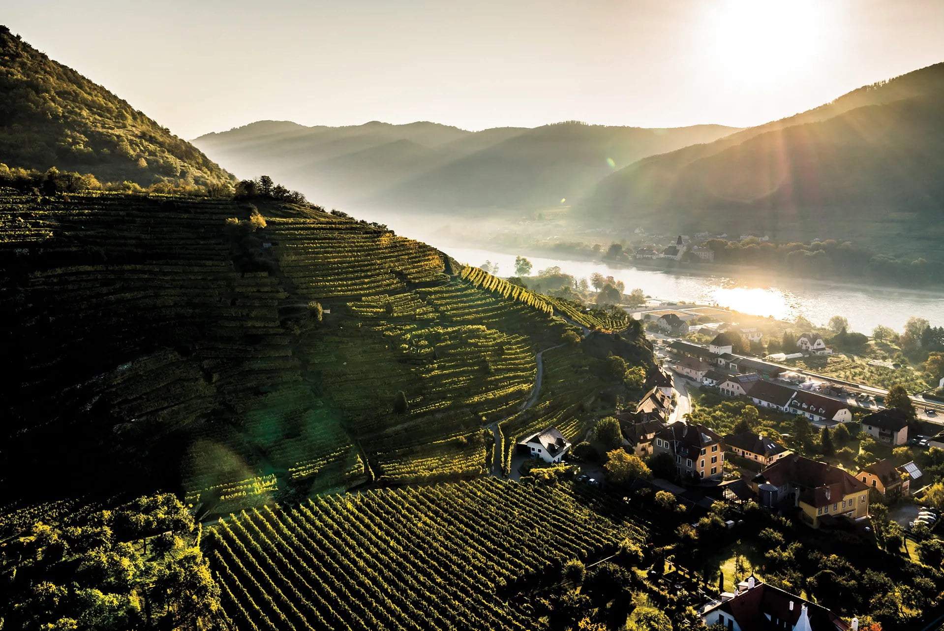 Wachau Wine Region Penventon Hotel