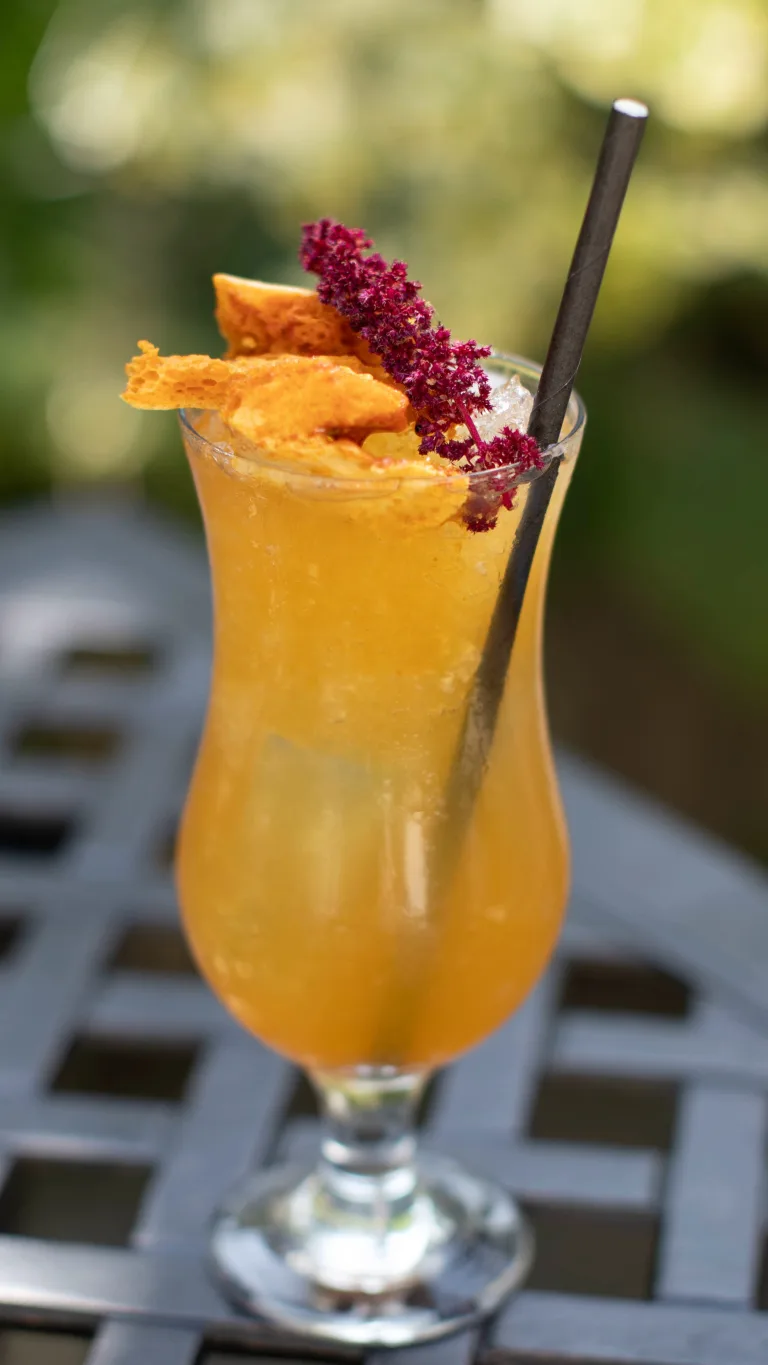 Cats Beehive Yourself Cocktail