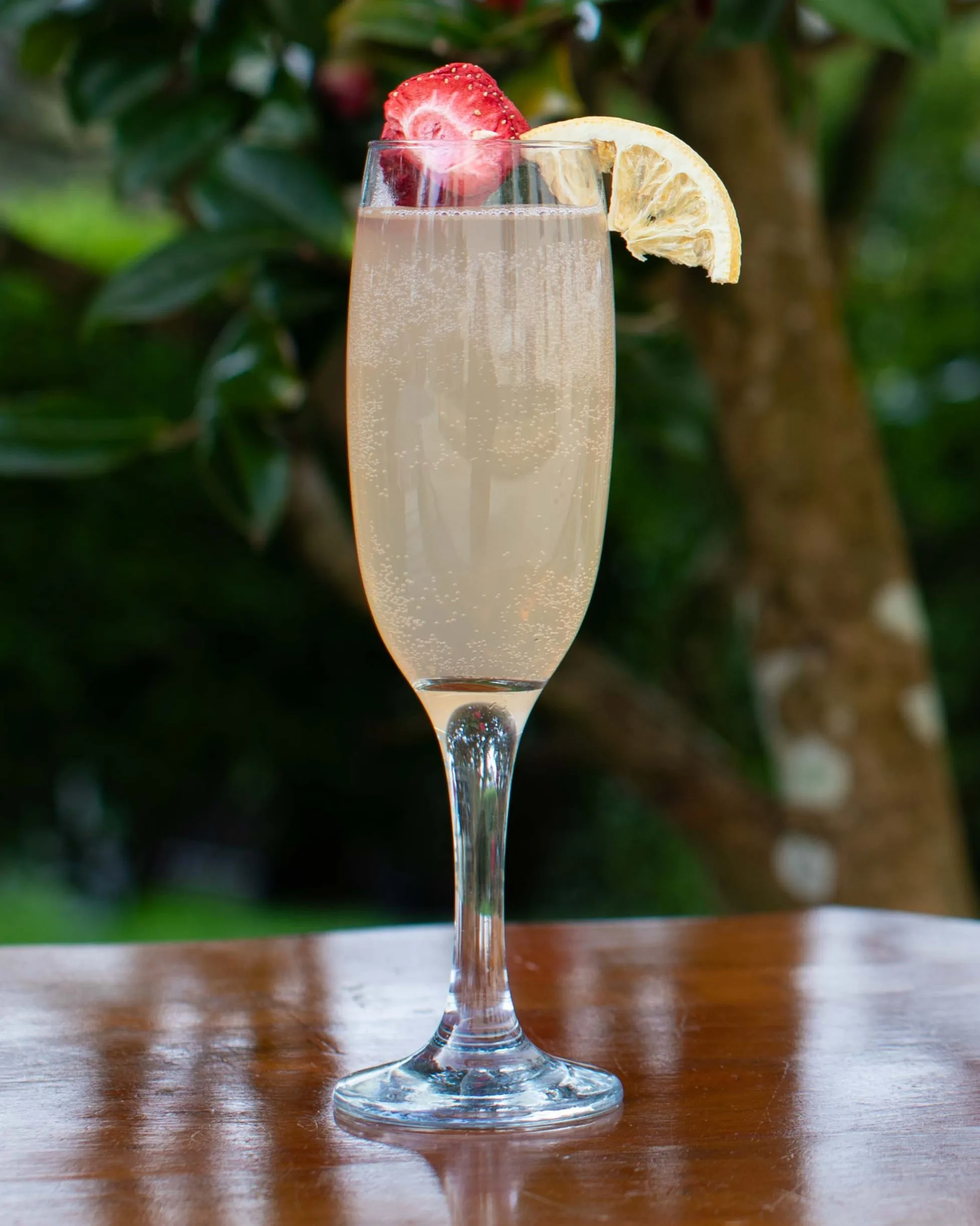 Spring Fever Cocktail A poetic celebration of vibrant flavours, effortlessly blending the essence of a sun-soaked spring day into every sip