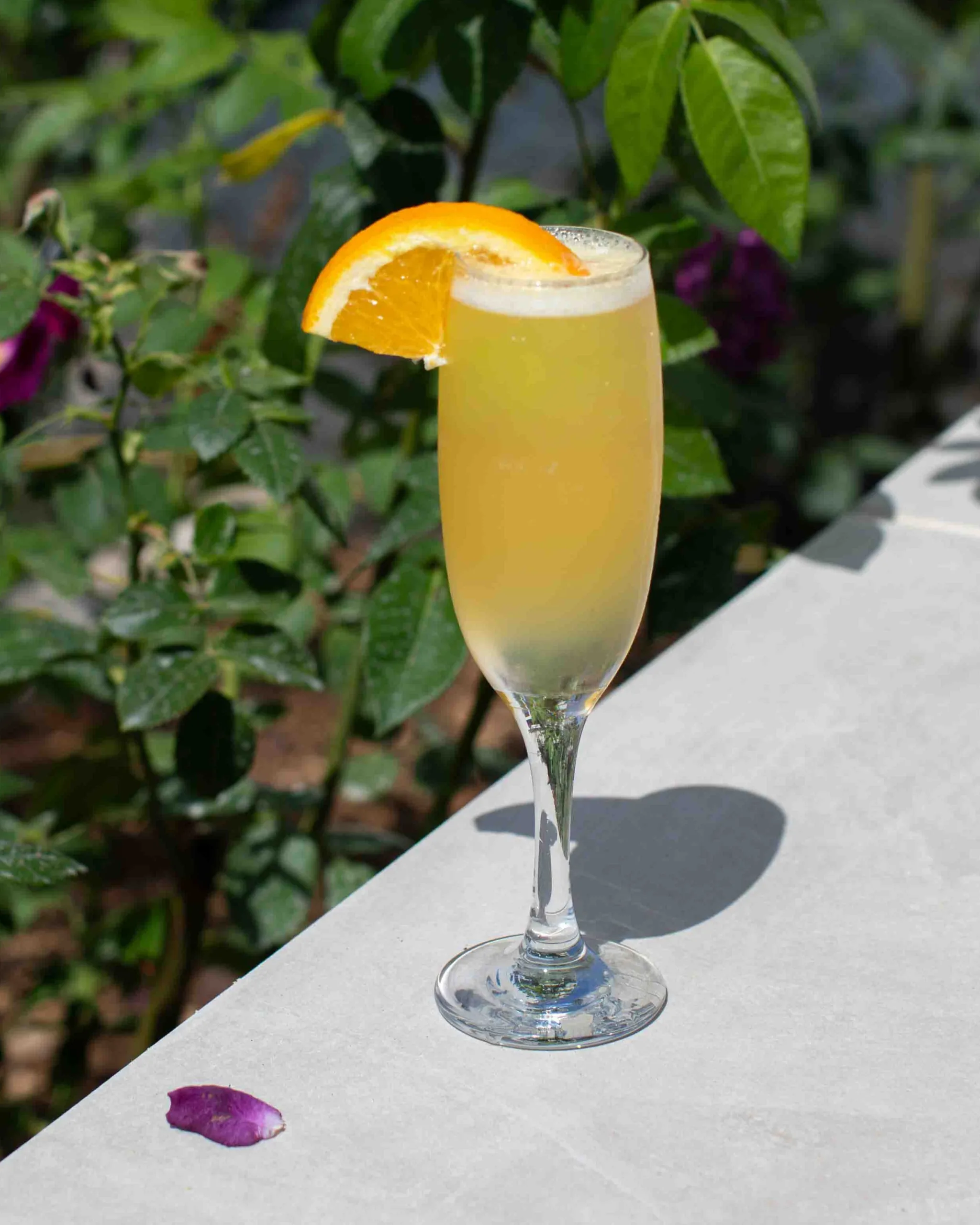 Lady Marmalade Cocktail opens with Sithney Orange gin, its bright citrus botanicals setting the tone from the first sip